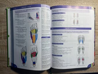 MEMORIX HISTOLOGIE A ANATOMIE - 8
