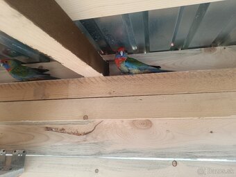 Predám - Rozela Adelaidská - 8