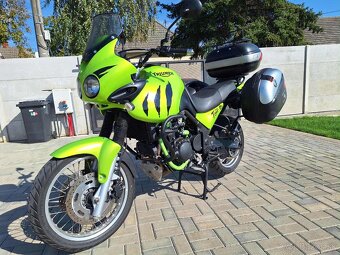 Triumph Tiger 955i - 8