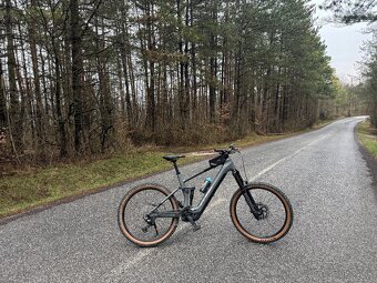 RockShox Domain R 170mm - 8