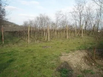 Investičný pozemok Krasňany BA III. - 8