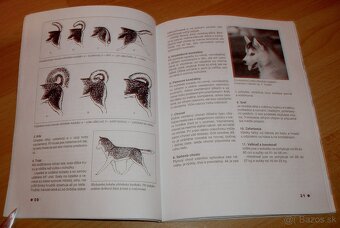 Severské plemená psov - 8