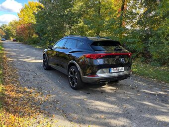 Cupra Formentor 2.0 TDI 150k 4Drive DSG - 8