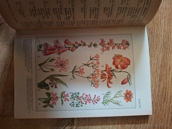 Was blüht denn da - 8