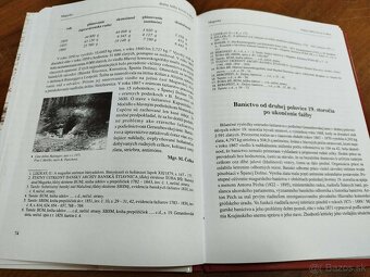 MAGURKA-Dejiny ťažby kovov a obce--2002--Peter Vítek, M Čelk - 8