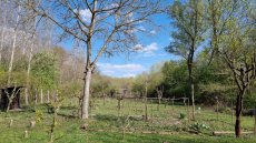 Prenájom pozemok Gabcikovo - 8