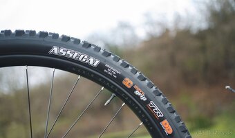 Bicykel Marin Alpine Trail 2 carbon - 8