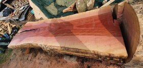 Platanove drevo. - 8