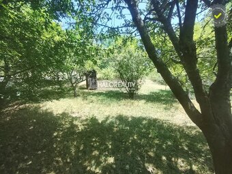 HALO reality - Predaj, záhradná chata Krupina, 371 m - EXKLU - 8