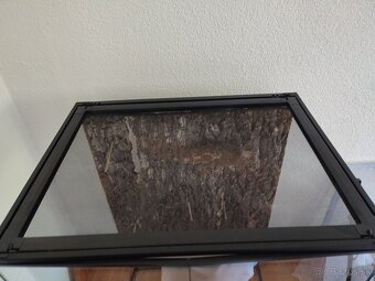 Terarium - 8