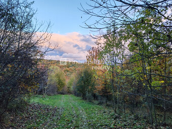 Dom na samote v lese-pokoj, ticho Stará Turá - 8