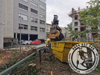 Pilenie a orezavanie stromov, kosenie a udrzba zahrad - 8