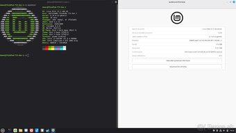Lenovo ThinkPad T15 Gen 1 - 8