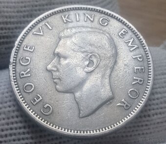 Mince Nový Zéland. - 8