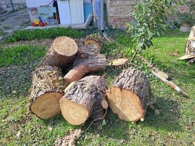 Palivové drevo, smrek, breza, borovica - 8