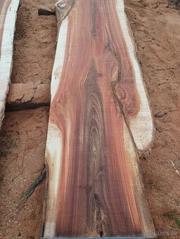 Brastové forsty - 8