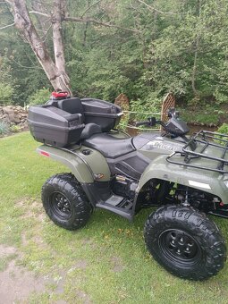 Arctic cat - 8