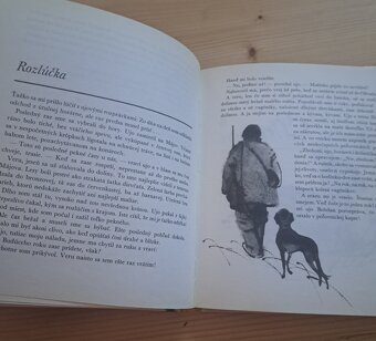 Detské rozprávkové knižky - 8