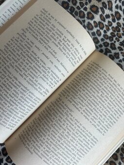 Ľalia v údolí - Honoré de Balzac - 8