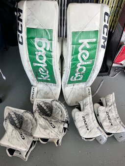 br.set CCM EFlex6 custom - 8