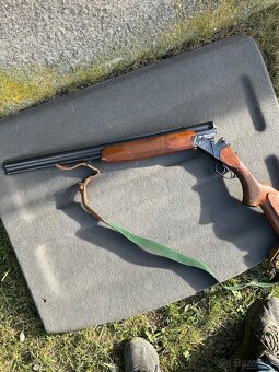 Gulobrok - 8
