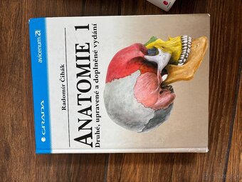 Anatomia Čihak 1,2,3 - 8