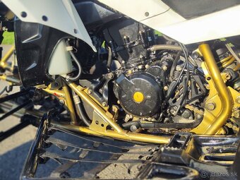 ACCESS Warrior 450R - 8