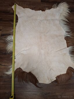 Kozia kožušina / koža - 8
