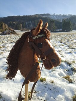 Hobby horse - 8