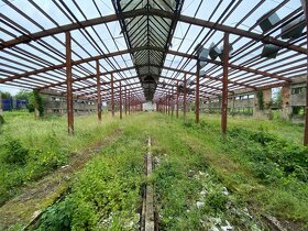 Hala s oceľovou konštrukciou 2878m2 , Rešica, sklad - výroba - 8