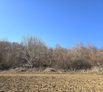Pozemok na predaj vo viniciach. Výhradne u nás. - 8