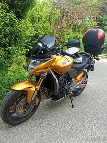 Honda Hornet cb 600f - 8