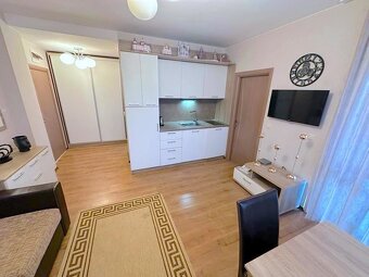 Štýlový jednoizbový apartmán pre milovníkov tichého a krásne - 8
