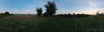 Vinohrad - 8