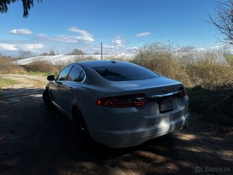 Jaguar - 8