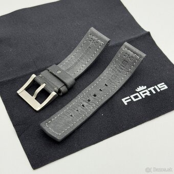Fortis Flieger F-39 - 8