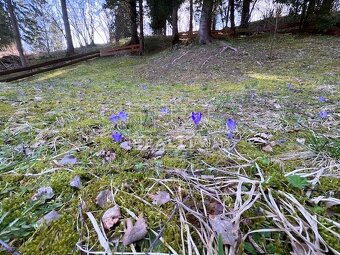 REKREAČNÝ POZEMOK NA PODSUCHEJ 1570m2
MOŽNOSŤ STAVBY CHAT - 8