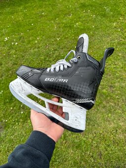 Korcule Bauer Supreme Shadow - 8