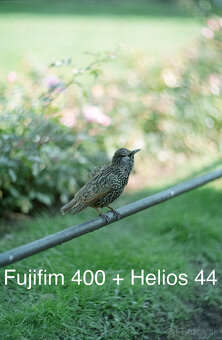 Canon EOS Rebel XS filmový + Helios 44 2/58 - 8