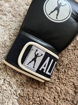 Boxerské rukavice ALI - 8