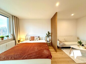 Prenájom 1,5 izb. byt, rekonštrukcia, centrum - 8