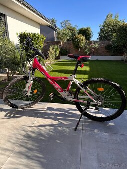 CTM Willy 2.0 detsky horsky bicykel - 8