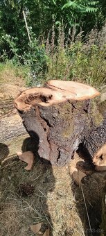 Čerešnové, hruškové a dubové drevo - 8