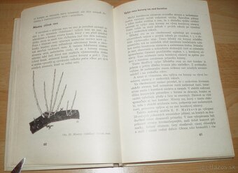 Rez a tvarovanie ovocných drevín - 8