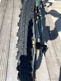 CTM Berry 24 - 8