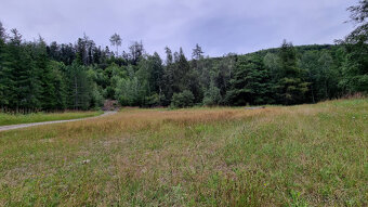 Predaj pozemkov nad Turzovskými kúpeľmi, okres Gelnica - 8