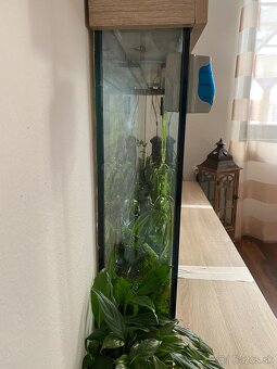 Predám akvárium - 8