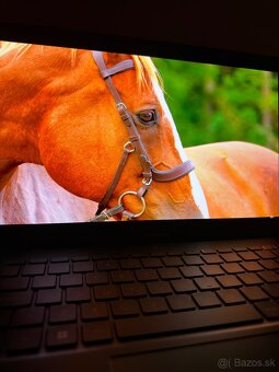 ASUS ZenBook Oled - 8