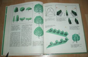 Tvarovanie a rez ovocných dreví - 8