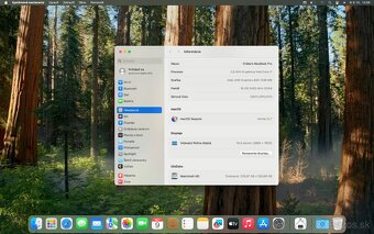 MacBook Pro 15" 2019 Silver (i7/16/256GB) - 8